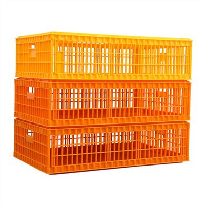 Kotak Angkut Ayam Hidup Plastik