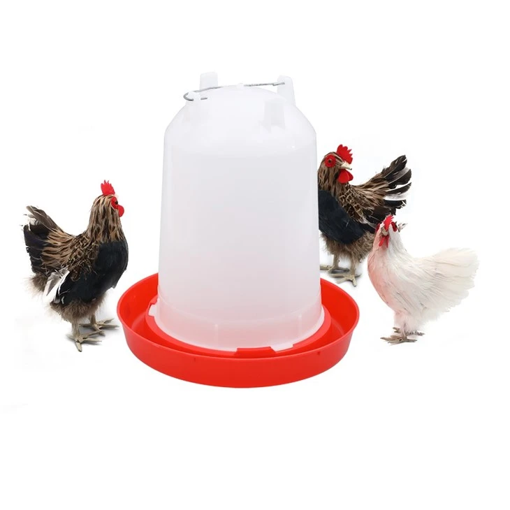 Tempat Minum Air Ayam