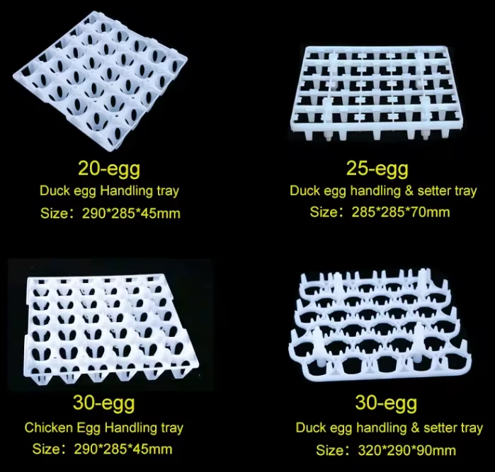 product-699-667