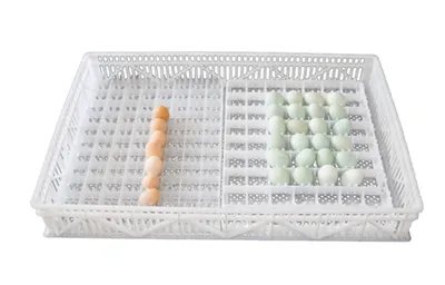 Keranjang Inkubator Penetasan Telur Plastik